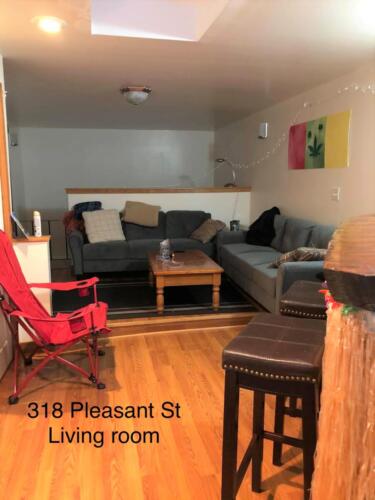 318 Pleasant Living room with skylight